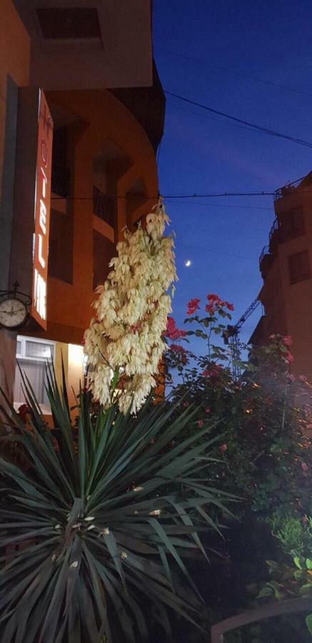 Apartment Vake تبليسي المظهر الخارجي الصورة